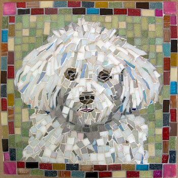 pet portrait mosaic, shih tzu