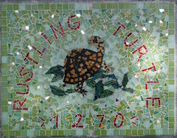 bost turtle mosaic