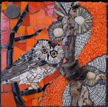 saw whet owl mosaic collaboration